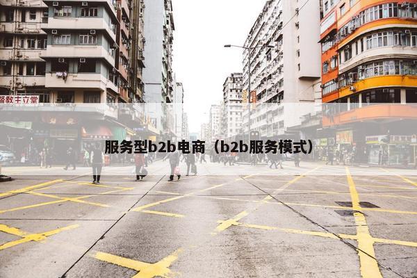服务型b2b电商（b2b服务模式）