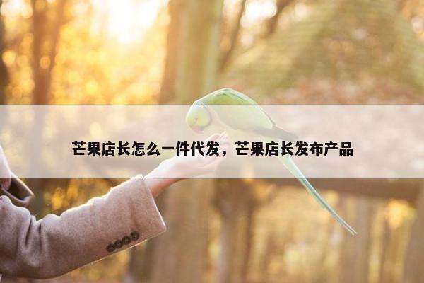 芒果店长怎么一件代发，芒果店长发布产品