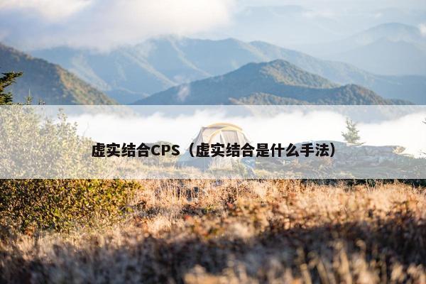 虚实结合CPS（虚实结合是什么手法）