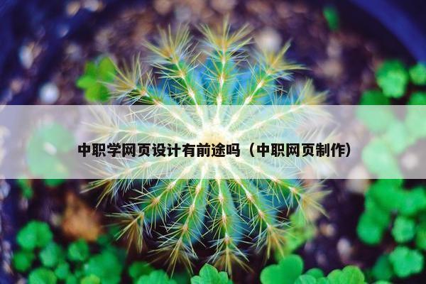 中职学网页设计有前途吗（中职网页制作）