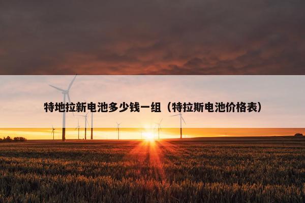 特地拉新电池多少钱一组（特拉斯电池价格表）