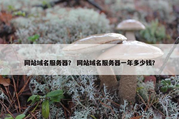 网站域名服务器？ 网站域名服务器一年多少钱？