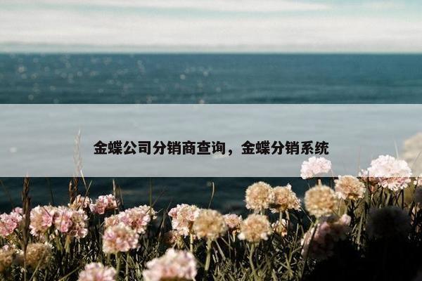 金蝶公司分销商查询，金蝶分销系统