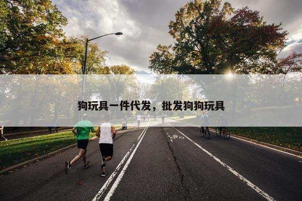 狗玩具一件代发，批发狗狗玩具