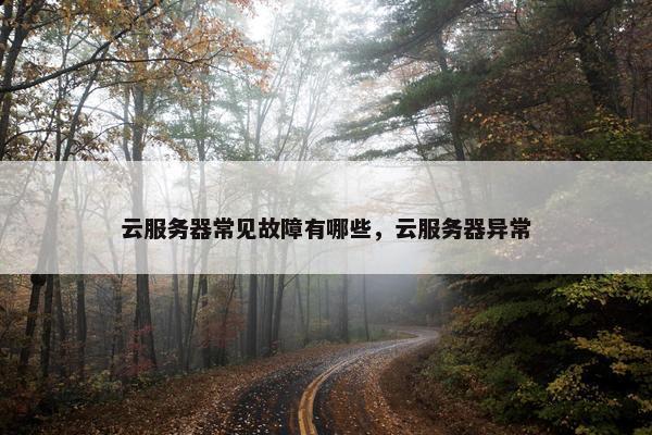 云服务器常见故障有哪些，云服务器异常