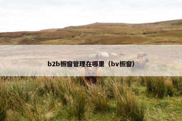 b2b橱窗管理在哪里（bv橱窗）