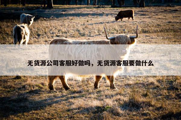无货源公司客服好做吗，无货源客服要做什么