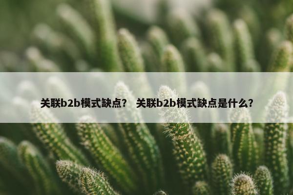 关联b2b模式缺点？ 关联b2b模式缺点是什么？