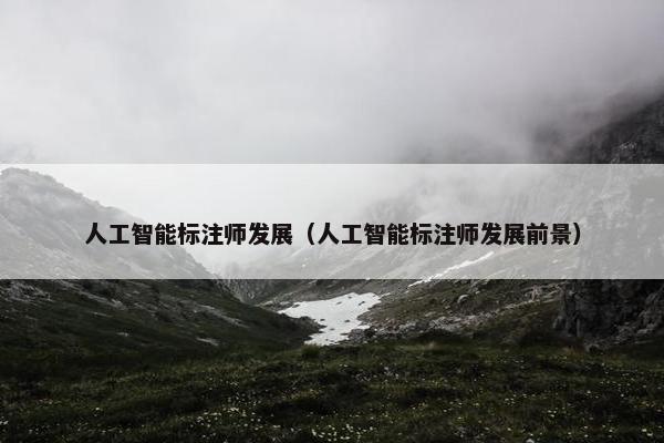 人工智能标注师发展（人工智能标注师发展前景）