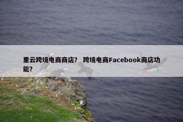 里云跨境电商商店？ 跨境电商Facebook商店功能？