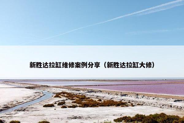 新胜达拉缸维修案例分享（新胜达拉缸大修）