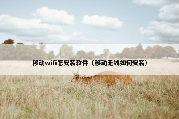 移动wifi怎安装软件（移动无线如何安装）