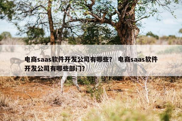 电商saas软件开发公司有哪些？ 电商saas软件开发公司有哪些部门？