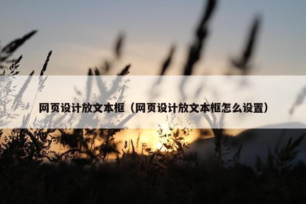 网页设计放文本框（网页设计放文本框怎么设置）