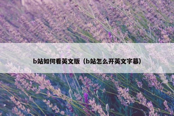 b站如何看英文版（b站怎么开英文字幕）