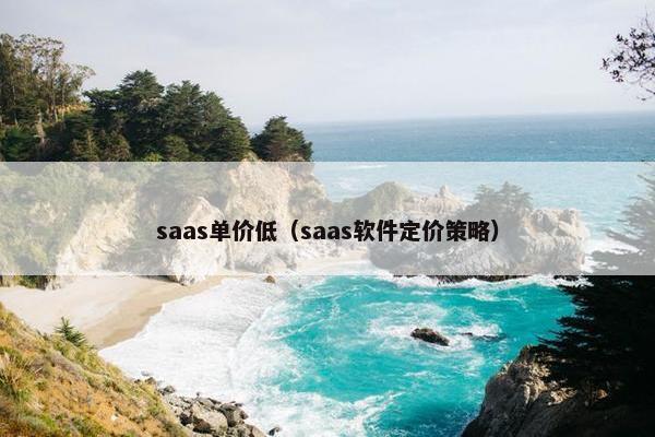 saas单价低（saas软件定价策略）