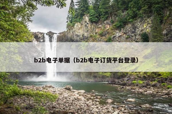 b2b电子单据（b2b电子订货平台登录）
