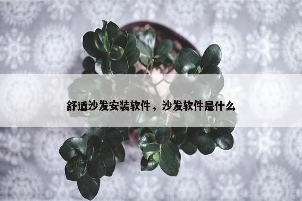 舒适沙发安装软件，沙发软件是什么