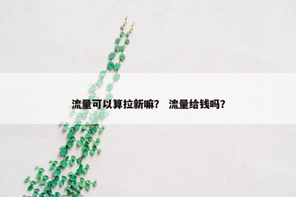 流量可以算拉新嘛？ 流量给钱吗？
