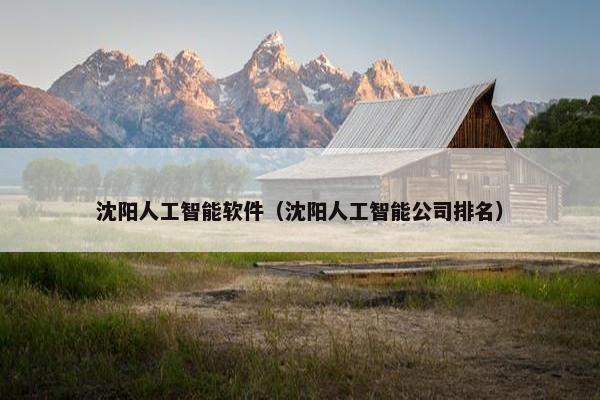 沈阳人工智能软件（沈阳人工智能公司排名）