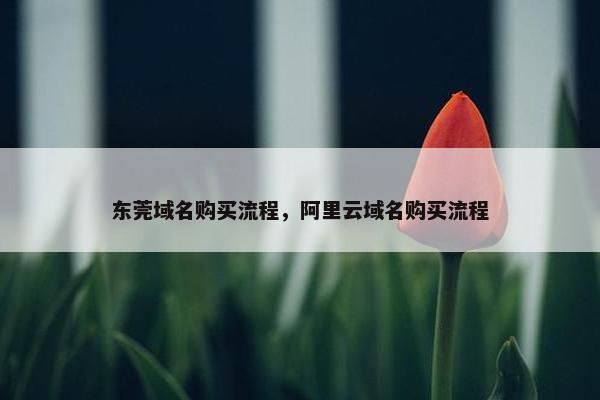 东莞域名购买流程，阿里云域名购买流程