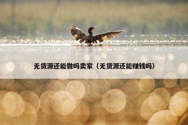 无货源还能做吗卖家（无货源还能赚钱吗）