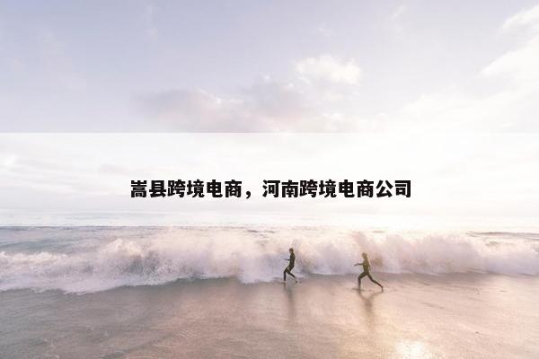嵩县跨境电商，河南跨境电商公司