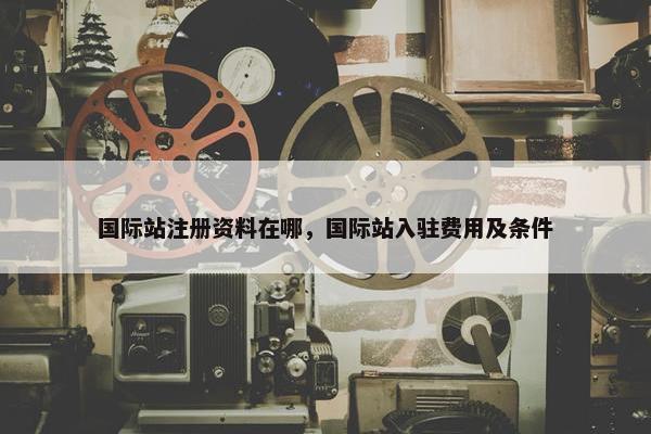 国际站注册资料在哪，国际站入驻费用及条件