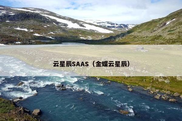 云星辰SAAS（金蝶云星辰）