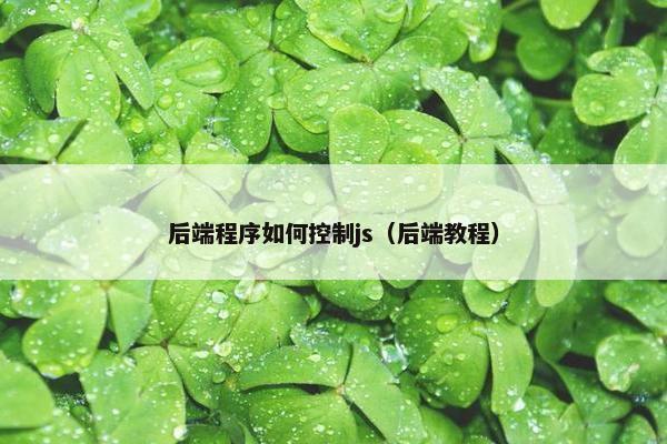 后端程序如何控制js（后端教程）