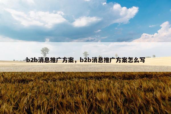 b2b消息推广方案，b2b消息推广方案怎么写