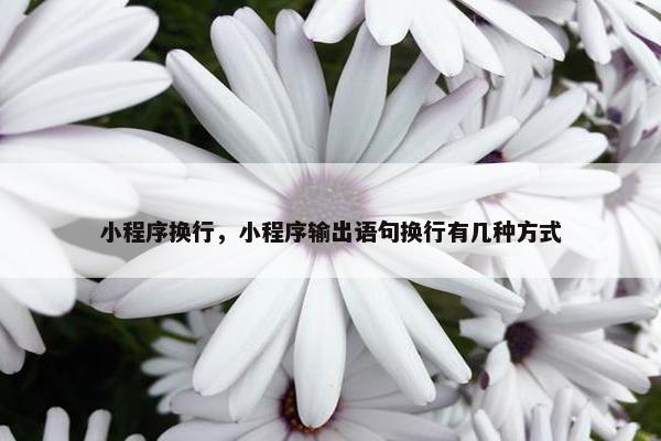 小程序换行，小程序输出语句换行有几种方式