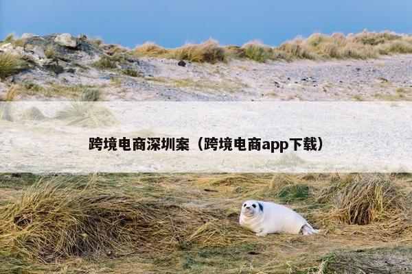 跨境电商深圳案（跨境电商app下载）