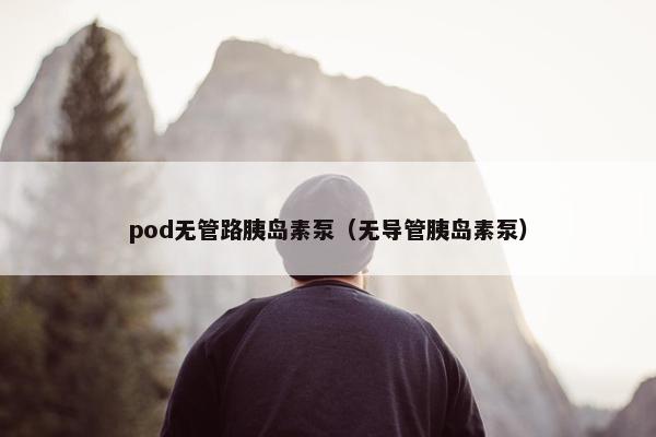 pod无管路胰岛素泵（无导管胰岛素泵）