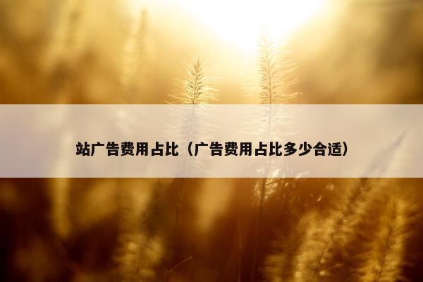 站广告费用占比（广告费用占比多少合适）