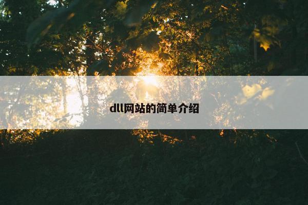 dll网站的简单介绍