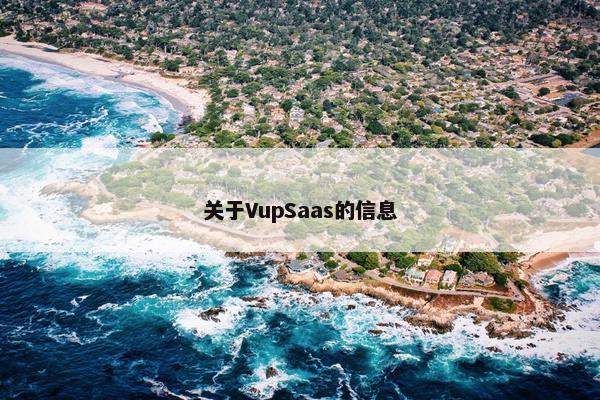 关于VupSaas的信息