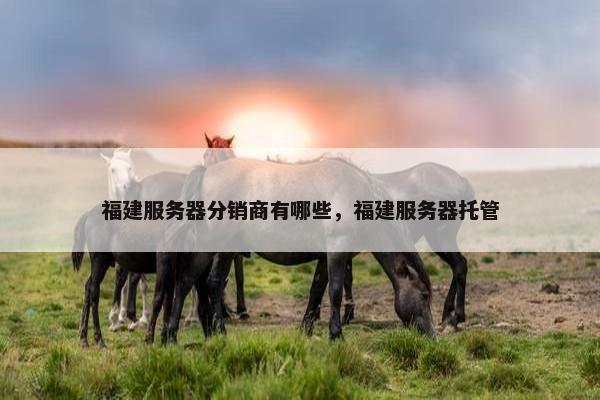福建服务器分销商有哪些，福建服务器托管