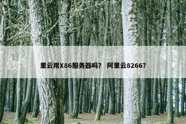 里云用X86服务器吗？ 阿里云8266？