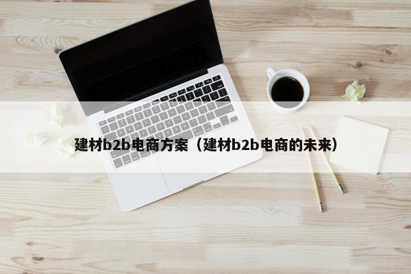 建材b2b电商方案（建材b2b电商的未来）