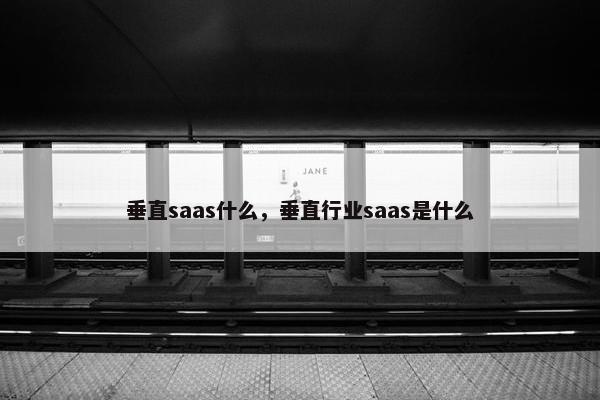 垂直saas什么，垂直行业saas是什么