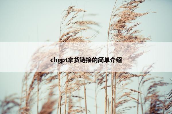 chgpt拿货链接的简单介绍