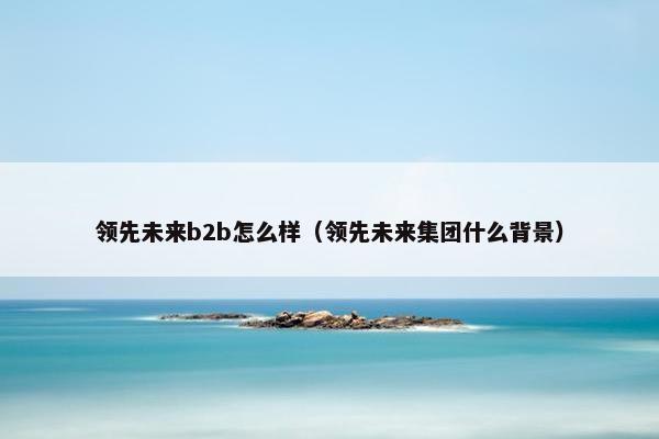 领先未来b2b怎么样（领先未来集团什么背景）