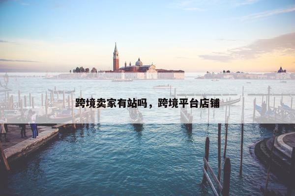 跨境卖家有站吗，跨境平台店铺