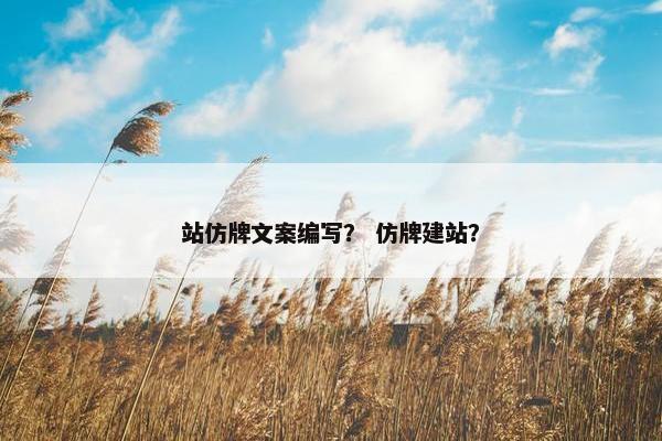 站仿牌文案编写？ 仿牌建站？