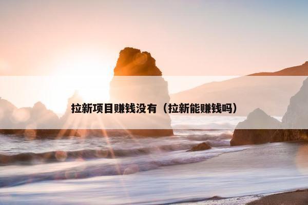 拉新项目赚钱没有（拉新能赚钱吗）