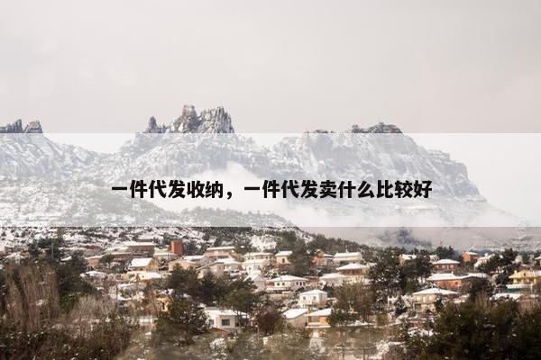 一件代发收纳，一件代发卖什么比较好
