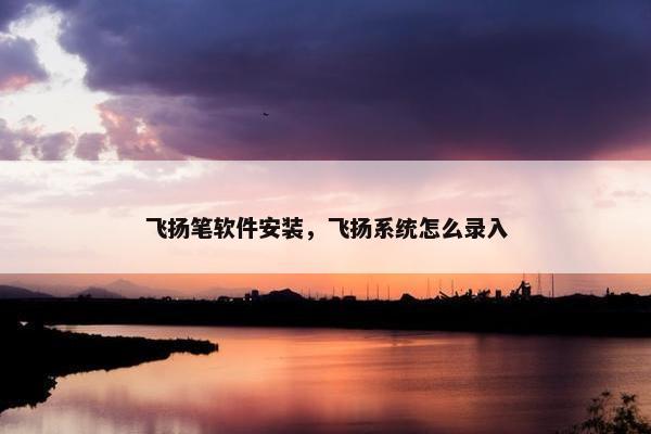 飞扬笔软件安装，飞扬系统怎么录入