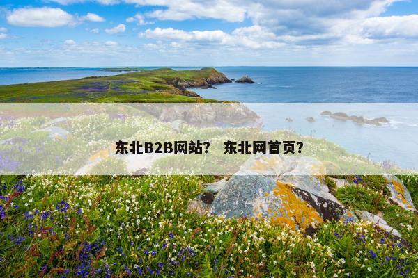 东北B2B网站？ 东北网首页？