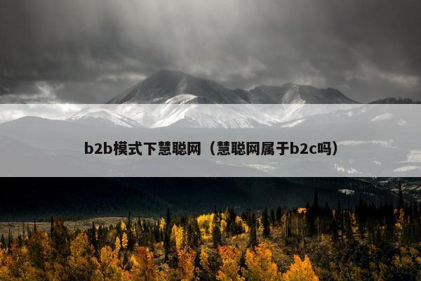 b2b模式下慧聪网（慧聪网属于b2c吗）